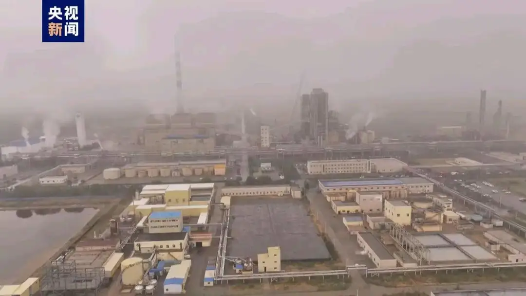 66f51528df362.png 66f51528df362.png